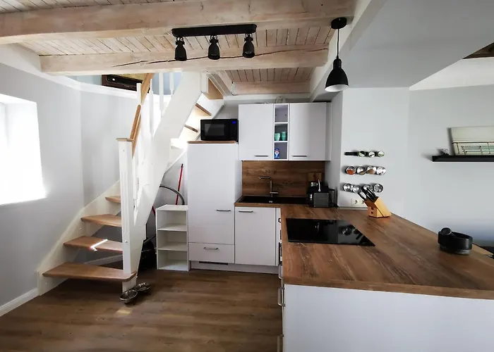 Homelig 1 Altstadt 아파트 사스니츠